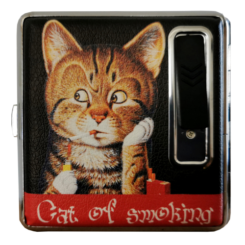 Angelo Zigaretten Euti USB Charging Type Lighter Cat